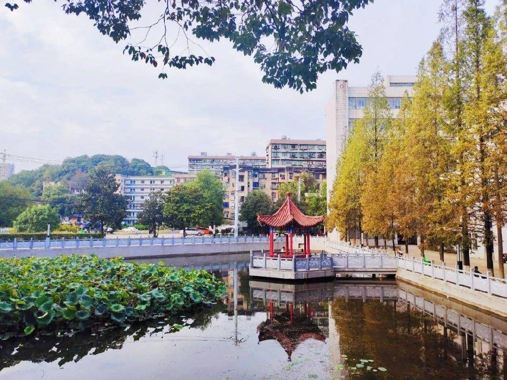 学生风采